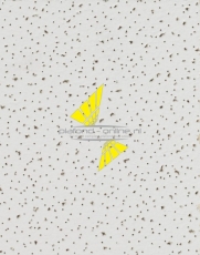 Armstrong Fine Fissured